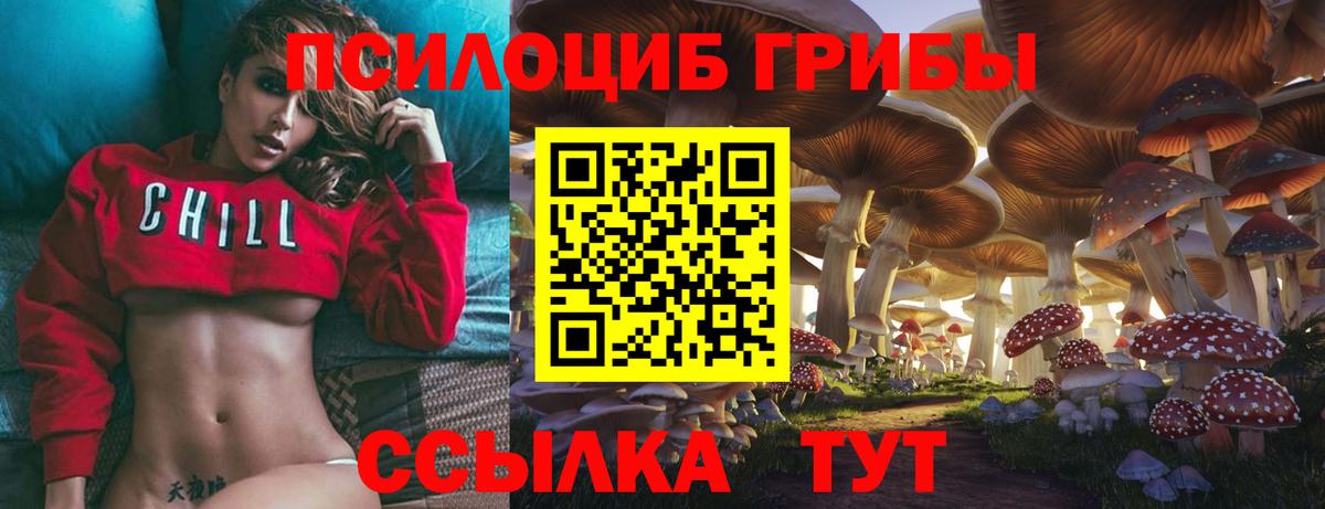 Родники  Псилоцибиновые грибы ЛСД  Вход с VPN 