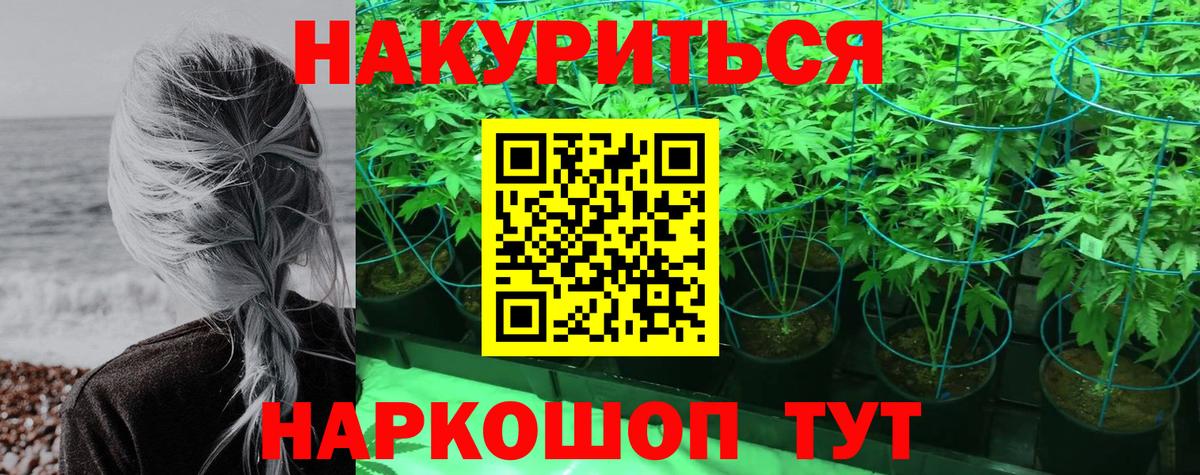 Марихуана конопля Родники